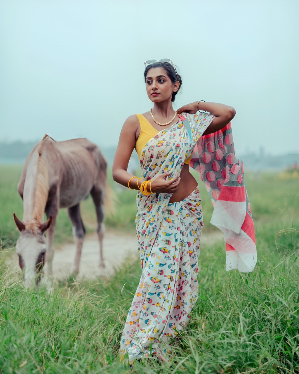 Banzaran Linen Cotton Saree for Women – Soft Fabric, HD Print